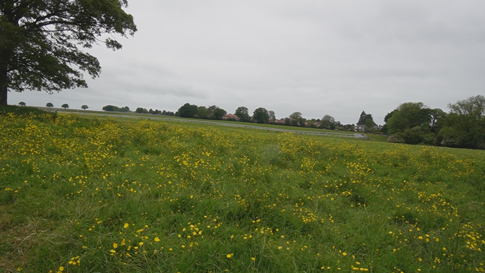 BeverleyRacecourse_chapter19